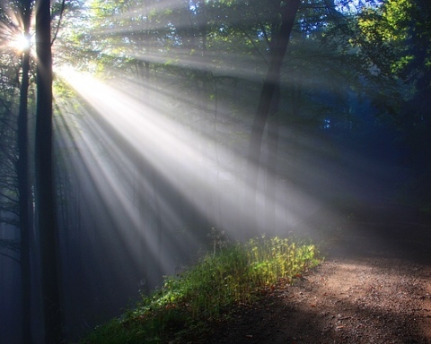 Sunlight Exposure is Beneficial for Your Newborn